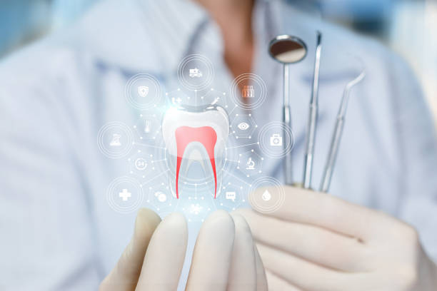 Best Traditional Braces  in Jackson Center, OH